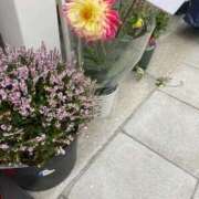 ヒメ日記 2025/12/25 09:59 投稿 みなみ 熟女総本店 堺東店