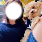 ヒメ日記 2025/10/05 00:00 投稿 ももこ ぷよラブ