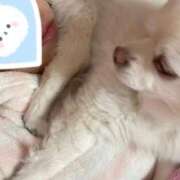 ヒメ日記 2025/12/12 08:59 投稿 りさ 変態貴族 五反田店