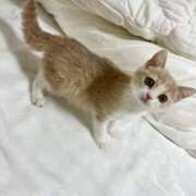 ヒメ日記 2025/11/01 09:01 投稿 のの ワンダーホール24