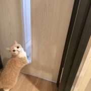 のの こんばんは☺️ ワンダーホール24