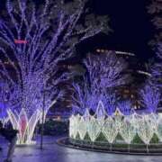 ヒメ日記 2025/12/09 14:00 投稿 まみ 久留米デリヘルセンター