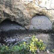 ヒメ日記 2025/12/16 15:12 投稿 本多 ここ こあくまな熟女たち 千葉店（KOAKUMAグループ）