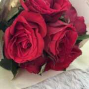 ヒメ日記 2026/01/11 10:07 投稿 本多 ここ こあくまな熟女たち 千葉店（KOAKUMAグループ）