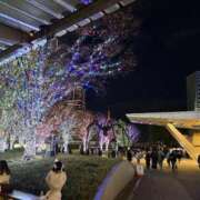 ヒメ日記 2025/12/09 19:03 投稿 ひめ 上野ハイブリッドマッサージ