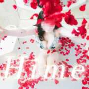 ヒメ日記 2025/11/01 02:18 投稿 ひめ 品川ハイブリッドマッサージ