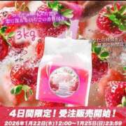 ヒメ日記 2026/01/22 13:38 投稿 ひめ 品川ハイブリッドマッサージ