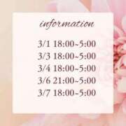 ヒメ日記 2026/03/03 19:48 投稿 ひめ 品川ハイブリッドマッサージ