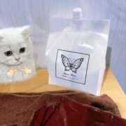 ヒメ日記 2026/03/21 03:58 投稿 ひめ 品川ハイブリッドマッサージ