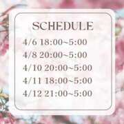 ヒメ日記 2026/04/05 20:08 投稿 ひめ 品川ハイブリッドマッサージ