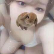 ヒメ日記 2025/10/06 20:25 投稿 ななこ 奥様特急　上野・鶯谷店