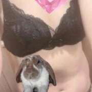 ヒメ日記 2025/10/07 22:35 投稿 ななこ 奥様特急　上野・鶯谷店