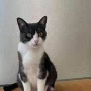 ヒメ日記 2025/10/08 06:05 投稿 ななこ 奥様特急　上野・鶯谷店