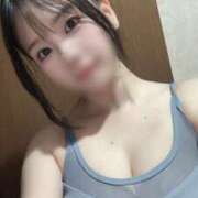 ヒメ日記 2025/10/07 12:17 投稿 ひまわり　甘え上手な一輪の花 今ドキ マットMAX