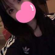 ヒメ日記 2025/10/11 16:03 投稿 ひまわり　甘え上手な一輪の花 今ドキ マットMAX