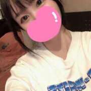 ヒメ日記 2025/10/26 07:58 投稿 ひまわり　甘え上手な一輪の花 今ドキ マットMAX