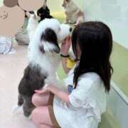 ヒメ日記 2025/11/08 12:21 投稿 ひまわり　甘え上手な一輪の花 今ドキ マットMAX