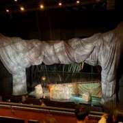 ヒメ日記 2026/01/12 12:11 投稿 ひまわり　甘え上手な一輪の花 今ドキ マットMAX