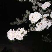 ヒメ日記 2026/04/11 10:02 投稿 いずみ 極楽城(ゴクラクジョウ)