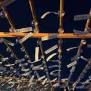 ヒメ日記 2025/10/09 19:50 投稿 黒瀬みどり 五反田ウルトラファンタジー