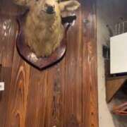 ヒメ日記 2025/10/09 21:17 投稿 黒瀬みどり 五反田ウルトラファンタジー