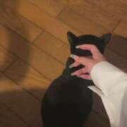 ヒメ日記 2025/10/22 18:18 投稿 黒瀬みどり 五反田ウルトラファンタジー