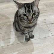 ヒメ日記 2025/10/11 11:05 投稿 心音（ここね） NOA（ノア）