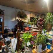 ヒメ日記 2025/10/15 12:05 投稿 心音（ここね） NOA（ノア）