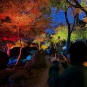 ヒメ日記 2025/12/12 11:16 投稿 心音（ここね） NOA（ノア）