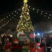 ヒメ日記 2025/12/23 15:43 投稿 心音（ここね） NOA（ノア）