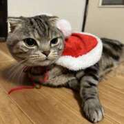 あさみ 今日ラストです🫡 錦糸町人妻セレブリティ（ユメオト）