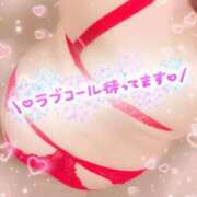 ヒメ日記 2025/11/27 19:04 投稿 まみ 山口下関ちゃんこ