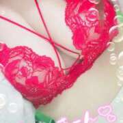 ヒメ日記 2025/11/27 20:24 投稿 まみ 山口下関ちゃんこ