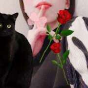 しず ✧しず 徒然なるままに✧ 錦糸町人妻セレブリティ（ユメオト）