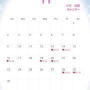 ヒメ日記 2025/11/14 08:12 投稿 ふみ 白いぽっちゃりさん