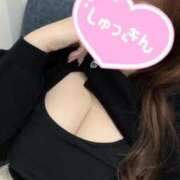 ヒメ日記 2025/11/16 10:02 投稿 ふみ 白いぽっちゃりさん