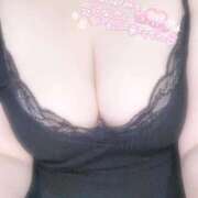 ヒメ日記 2025/11/29 09:42 投稿 ふみ 白いぽっちゃりさん