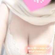 ヒメ日記 2025/12/19 00:02 投稿 ふみ 白いぽっちゃりさん