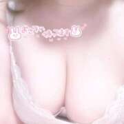 ヒメ日記 2026/01/23 08:02 投稿 ふみ 白いぽっちゃりさん