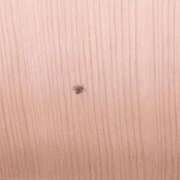 ヒメ日記 2025/10/30 09:23 投稿 椿（つばき） 那珂川角海老