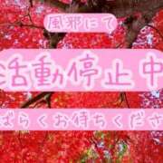 ヒメ日記 2025/11/12 14:16 投稿 椿（つばき） 那珂川角海老