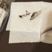 ヒメ日記 2025/11/20 10:53 投稿 椿（つばき） 那珂川角海老