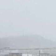 椿（つばき） (*ﾟ∀ﾟ*) 那珂川角海老