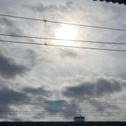 ヒメ日記 2025/12/11 11:23 投稿 椿（つばき） 那珂川角海老