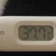 椿（つばき） (　ﾟдﾟ) 那珂川角海老