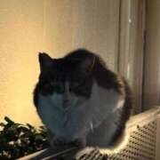 まりな 🥲 アメリカンクリスタル