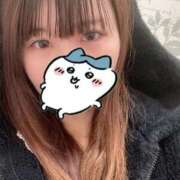 ヒメ日記 2025/11/11 11:19 投稿 すずねん イクイクサークル鶯谷店