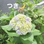 ヒメ日記 2026/06/24 09:13 投稿 つき 横浜ハッピーマットパラダイス