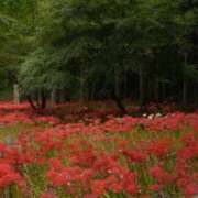 ヒメ日記 2025/10/07 12:24 投稿 れみ セレブクエスト-Nishikawa-