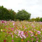 ヒメ日記 2025/11/12 08:50 投稿 れみ セレブクエスト-Nishikawa-